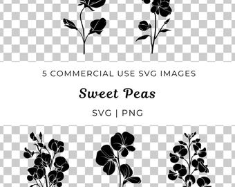 Flor de guisante de olor SVG, diseño floral vectorial (descarga digital)