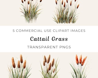 Cattails Png, Cattail Clipart, Bulrush Plant Png, Wild Grass Png, Reeds Clipart, Bulrush Clipart, Nature Png, Marsh Wetland Plant Clipart