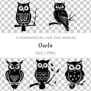 Chouette hibou, hibou lunatique, hibou des bois, hibou des bois