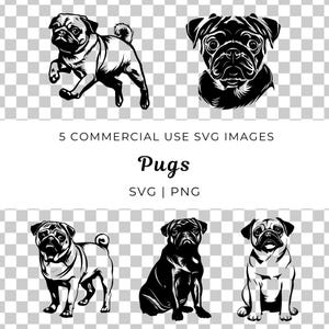 Pug Svg, Cute Dog Svg, Small Dog Svg, Pug Puppy Svg, Pug Lover Vector, Pet Dog Svg, Canine Svg,  Dog Breed Svg, Small Dog Vector, Animal Svg
