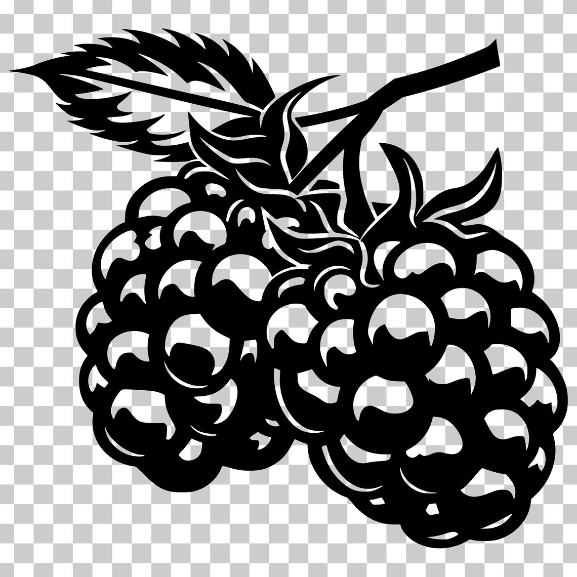 Raspberry SVG Bundle, Tropical Fruit Vector (digital Download) - Etsy