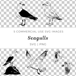 Gabbiano Svg, Vettore Uccello Costiero, Uccello da Spiaggia Svg, Vettore Gabbiano in Volo, Uccello Costiero Svg, Vettore Uccello Oceanico, Gabbiano di Mare, Gabbiano in Volo