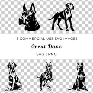 Perro gran danés Svg, vector de perro gran danés, perro grande Svg, vector gigante gentil, raza danés Svg, vector de raza de mascota grande, vector de perro de compañía