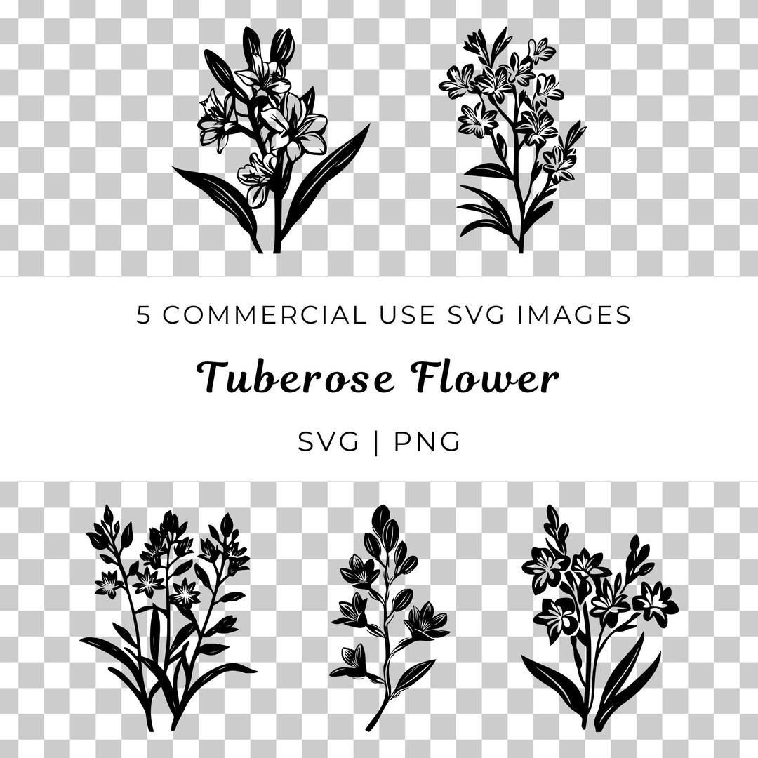 Tuberose Flower SVG, PNG, Floral Vector (digital Download) - Etsy