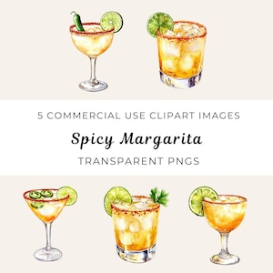Pittige Margarita cocktail clipart, Margarita Glass png, chili peper Margarita clipart, limoen bevroren Margarita png, Salt Rim Drink clipart