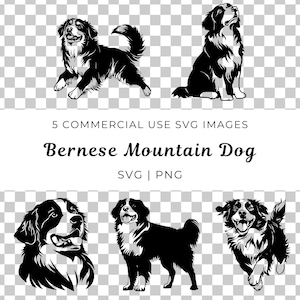 Berner Sennenhund zwar, Hund Clipart, Berner Hund Mama, kommerzielle Lizenz, Berner Vektor, Haustier Hund Bündel, Haustier zwart, Hunde Illustration