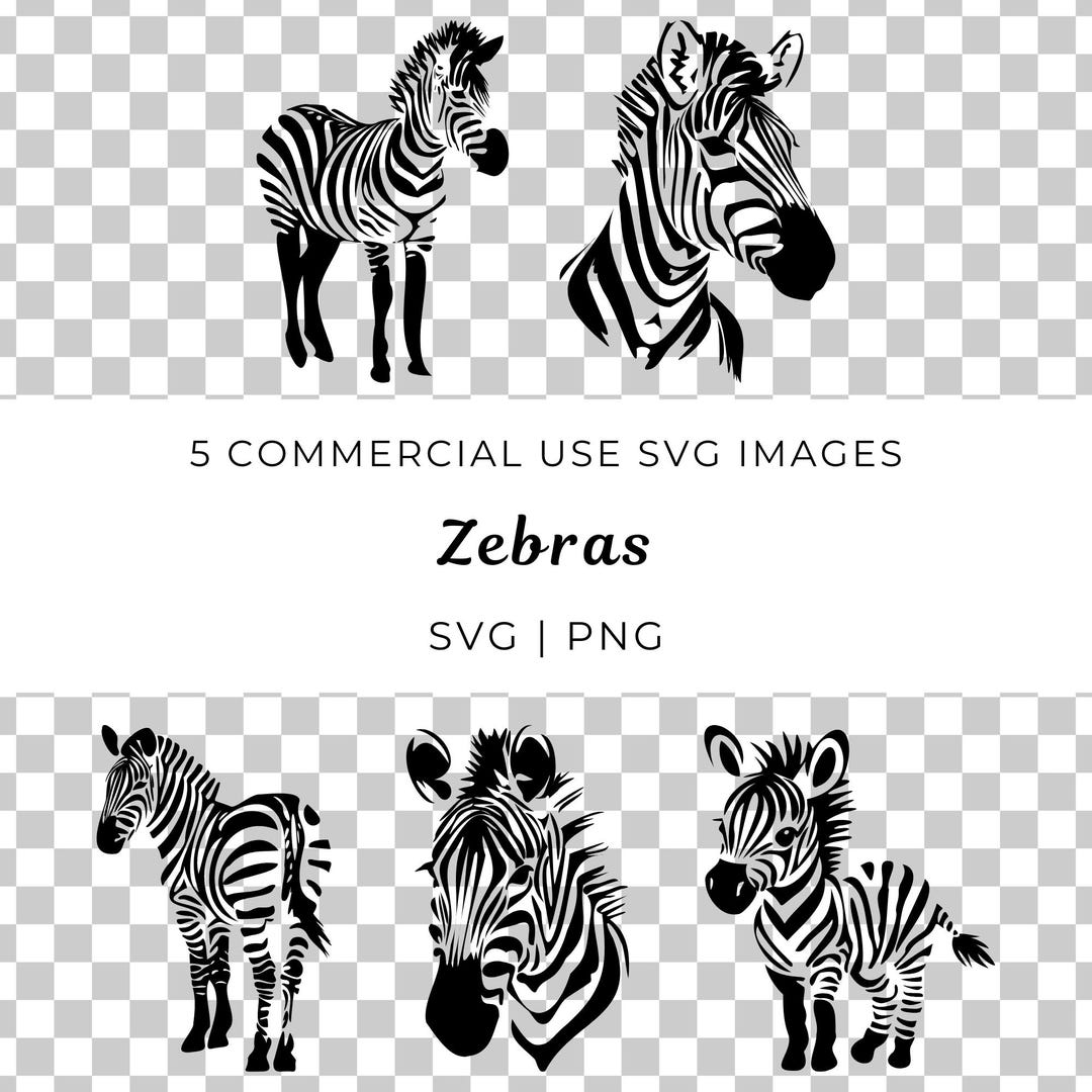Zebra SVG, PNG Clipart, Wildlife Vector Graphics (digital Download) - Etsy