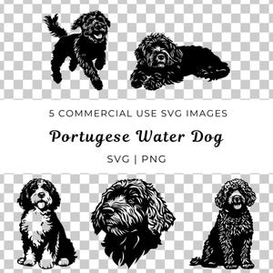 Portugese waterhond Svg, Canine Vector, hondenras Svg, waterhond Svg, dierlijke Vector, schattige hond Vector, Portugese hond Svg, hondenliefhebber Svg