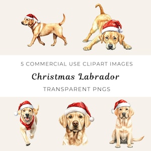 Kerst labrador png, vakantie hond clipart, feestelijke labrador png, kerst puppy clipart, labrador kerst png, kerst hond clipart