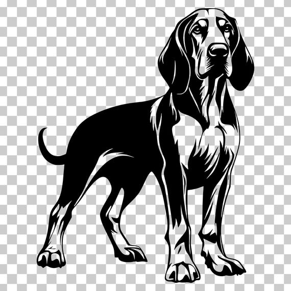 Bloodhound Dog Vector, Tracking Hound SVG (digital Download) - Etsy