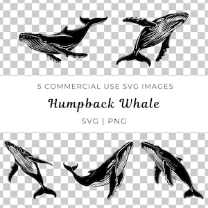 Bultrug Svg, Oceaan Svg, zeedieren Svg, Marine Life Svg, Ocean Life Svg, bultrug Vector, water dieren Svg, Whale Lovers Svg