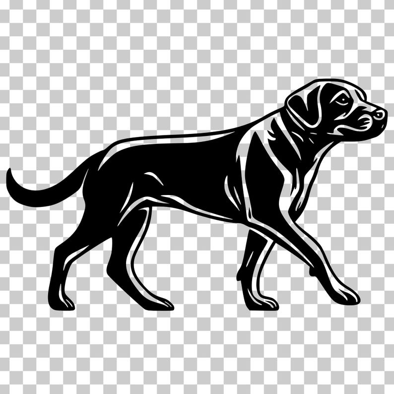 Labrador Retriever SVG Clipart, Dog Vector Graphics (digital Download ...