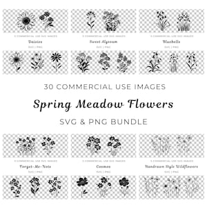 Spring Meadow Flowers Svg Bundle, Bluebell Flower Vector, Floral Daisies Svg, Sweet Alyssum Svg, Forget-Me-Nots Svg, Cosmos Flowers Svg Pack