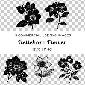 Helleborusbloem Svg, Lenten Rose Svg, botanische Svg Pack, Winter Bloom Vector, Floral Design Svg, elegante bloem Svg, Cottage Garden Flower
