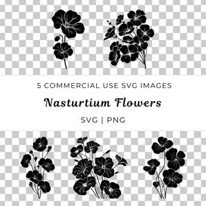 Capucine fleur vecteur, fleur de jardin Svg, fleur grimpante Svg, vecteur de fleur comestible, floraison estivale, chalet jardin Svg