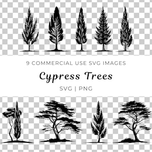 Du vecteur Svg de cyprès | Arbre méditerranéen PNG | Téléchargement instantané | Fichiers conifères | Clipart de cyprès | Graphique en cèdre jaune