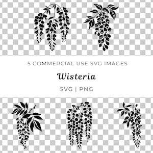 Wisteria Svg, Kwiatowy kwiat Svg, Wisteria kwitnąca winorośl Svg, Eleganckie wiszące kwiaty Svg, Wisteria winorośl wektor, Bujnie kwitnąca wisteria Svg
