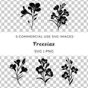Freesien Blumenschmuck, elegantes Freesien Design, zarte Freesien Blüte, Freesien Blumenschmuck, frische Freesien Vektor, botanische Freesien