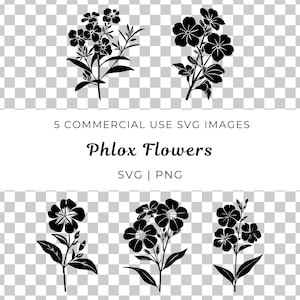 May include: Five black and white silhouette images of phlox flowers. The flowers are in various stages of bloom and have five petals each. The images are suitable for use in digital design projects.