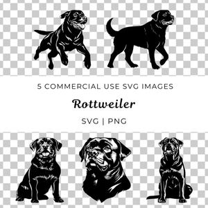 Perro Rottweiler Svg, Vector de perro Rottweiler, Vector de raza grande, Vector de perro protector, Vector de perro guardián, Rottie Svg, Vector de perro de trabajo,