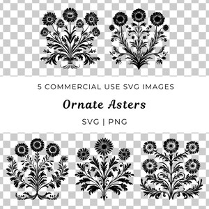 Verzierte Asters zwart, elegante florale Vektor, komplizierte Astern Design zwar, detaillierte Blumen Form, dekorative Astern Vektor, einzigartige botanische Form