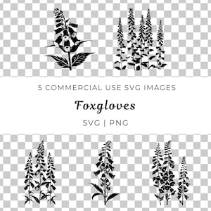 Digitalis bloem SVG, tuin bloemen vector, wilde bloemen SVG, elegante vingerhoedskruid SVG, hoge bloem vector, zomerbloei SVG, vingerhoedskruid plant vector