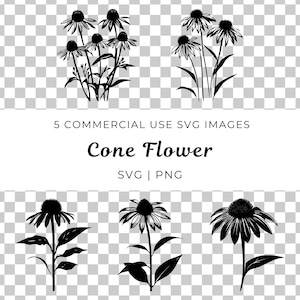 Échinacée Svg, vecteur de fleur d'échinacée, vecteur de fleur d'échinacée, échinacée botanique Svg, vecteur de pétales d'échinacée, fleur de cône de fleurs sauvages