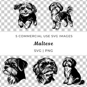Cachorro maltês Svg, Cachorro maltês Vector, Maltês fofo Svg, Maltês fofo Vector, Cachorro pequeno Svg, Raça de brinquedo Svg, Filhote de cachorro maltês, Amante maltês Svg