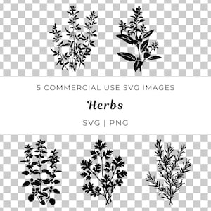 Peut inclure: Cinq images en silhouette noire de différentes herbes, dont le romarin, le thym, le basilic, le persil et l'origan. Les images sont sur un fond transparent.