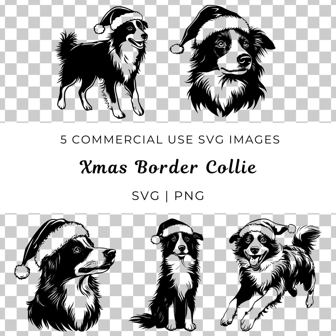 Christmas Border Collie SVG, Santa Hat Dog PNG (digital Download) - Etsy