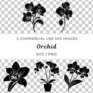 Orchid Svg, Tropical Flower Vector, Botanical Orchid Svg, Exotic Bloom Vector, Orchid Blossom Svg, Floral Orchid Vector, Elegant Flower Svg