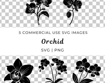 Orchidée SVG, vecteur de fleur tropicale, fleur exotique (téléchargement numérique)