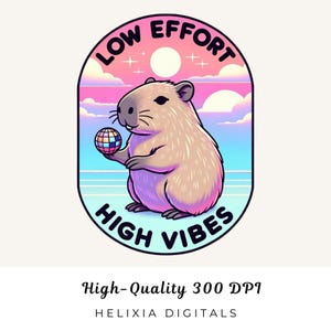 Capybara PNG Low Effort High Vibes, Chill Animal Retro Sublimation Design, Cute Trendy Capybara Clipart, Commercial Use, Digital Download