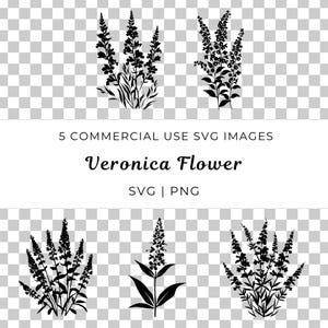 Veronica Blume SVG, Ehrenpreis Blüte Vektor, Elegante Garten Blüte SVG, Zarte Blumen Vektor, Hohe Blume SVG, Wiesenblüte Vektor
