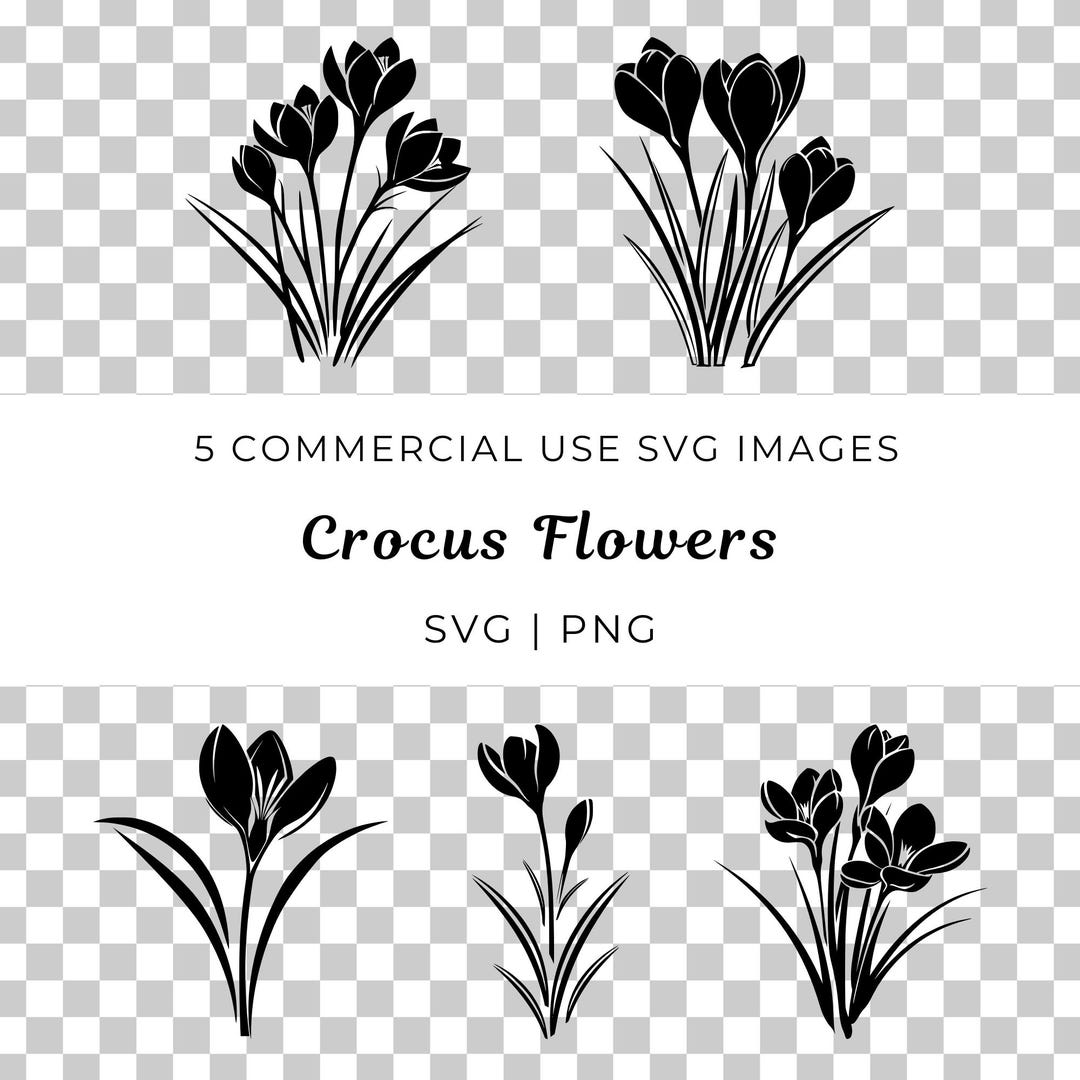 Crocus Flower SVG, Spring Bloom Vector (digital Download) - Etsy