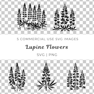 May include: Five black silhouette images of lupine flowers. The flowers are arranged in different groupings. The images are suitable for commercial use and are available in SVG and PNG formats.