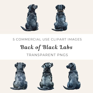 Dos du laboratoire noir Png, aquarelle noir Labs Clipart, Labrador noir du dos Png, Clipart dos Labrador Retriever, Clipart chien vue arrière