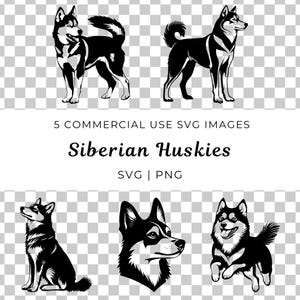 Siberian Husky Muster, Hunderasse Muster, Husky Gesicht Muster, Winter Hund Muster, Arctic Husky Vektor, Hundeliebhaber Muster, Arbeitshund Muster