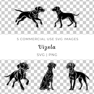 Vizsla Hund Vektor, ungarischer Pointer SVG, Energetischer Vizsla Vektor, Jagdhund SVG, aktiver Hundevektor, Vizsla Rasse, kurzhaariger Hund