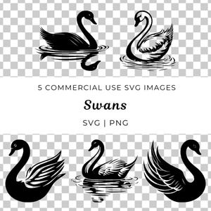 Vecteur de cygne, élégant cygne Svg, gracieux cygne vecteur, cygne majestueux Svg, oiseau majestueux Svg, vecteur d'amateur d'oiseaux, nature oiseau Svg, conception d'oiseau