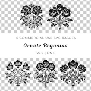Kunstvolle Begonien-Svg, Elegante Begonien-Blumen Vektor, Detaillierte Begonien-Svg, Verwickelte Blumen-Begonien-png, Lebendige Begonien-Design-Svg