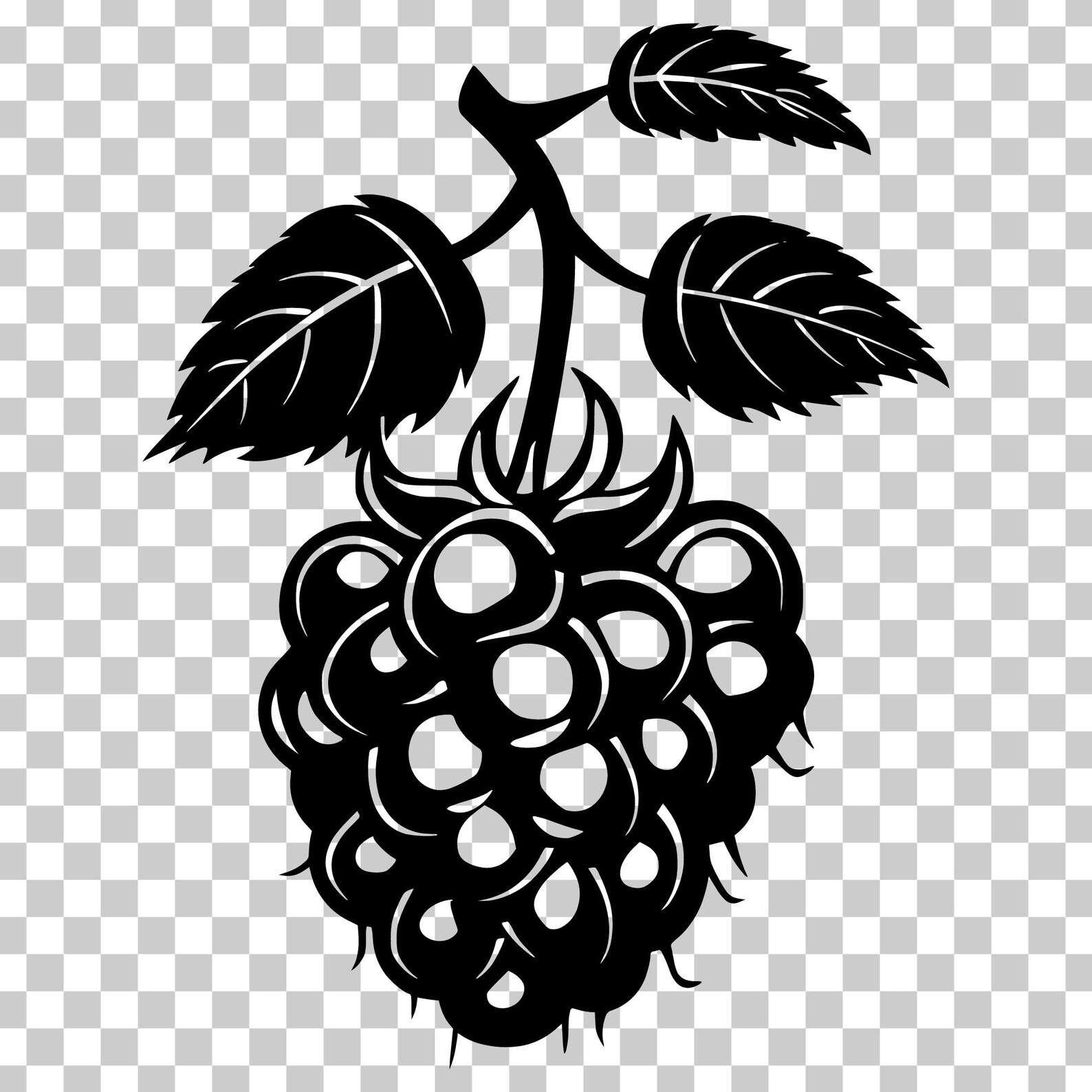 Raspberry SVG Bundle, Tropical Fruit Vector (digital Download) - Etsy