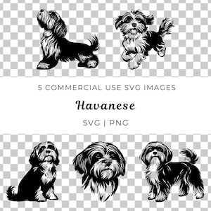 Cão Havanês Svg, Cão Havanês Vetor, Raça de Brinquedo Svg, Animal de Estimação Fofo Vetor, Cão de Companhia Svg, Filhote de Cachorro Havanês Svg, Cão Pequeno Svg, Cão de Colo Svg
