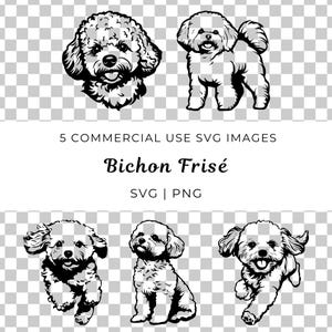 Bichon Frisé Svg, Bichon Frisé Vector, Fluffy Dog Svg, Vector de raza de perro pequeño, Perro blanco Svg, Vector de raza de juguete, Amante de los perros, Vector de dueño de mascota