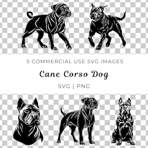 Vector de perro Cane Corso, Svg de raza de perro, Svg de Cane Corso, Svg de perro guardián, Compañero leal, Svg de perro grande, Vector de perro de trabajo, Svg de mastín italiano