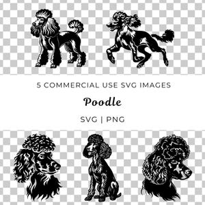 Poodle Svg, Poodle Francês Svg, Poodle Bonito Svg, Poodle Toy Svg, Poodle Padrão Svg, Poodle Miniatura Svg, Poodle Cachorro Svg, Poodle Amante Svg