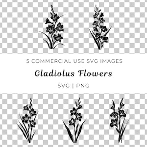 Glaïeuls vecteur floral, Svg fleur de glaïeul, vecteur de fleur de fleur botanique, glaïeul élégant Svg, vecteur floral de printemps, fleur de jardin