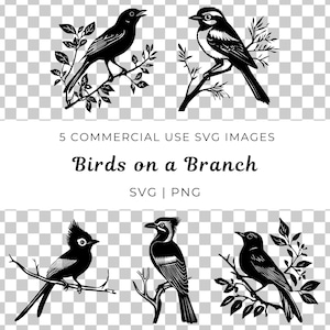 Vogel auf einem Ast als Singvogel, Singvogel als Singvogel, Waldvogel auf Ast, Naturszene Vektor, Singvogel auf Ast, zwitschernder Vogel