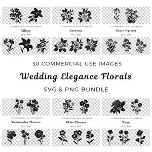 Bundle de fleurs Svg élégance mariage, vecteur de lys, gardénias Svg, Alyssum doux Svg, renoncules Svg, pack Svg fleurs Phlox, roses Svg