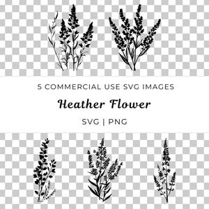 Heather Flower Svg, Vetor de Flor Escocesa, Elegante Cluster de Flores Silvestres Svg, Vetor de Flor Botânica, Natureza Inspirada Svg, Meadow Bloom Svg